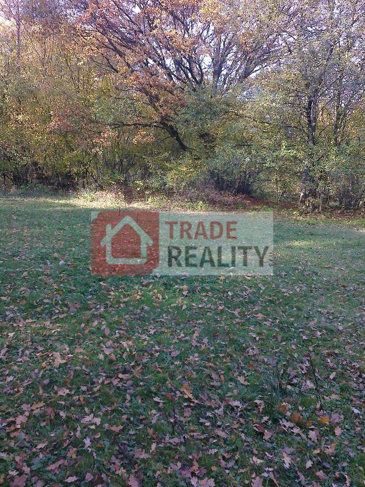 636468749424675754_011.jpg